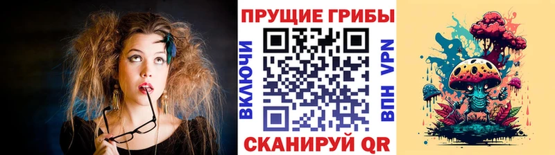 Псилоцибиновые грибы MAGIC MUSHROOMS  Купить где  Полесск 